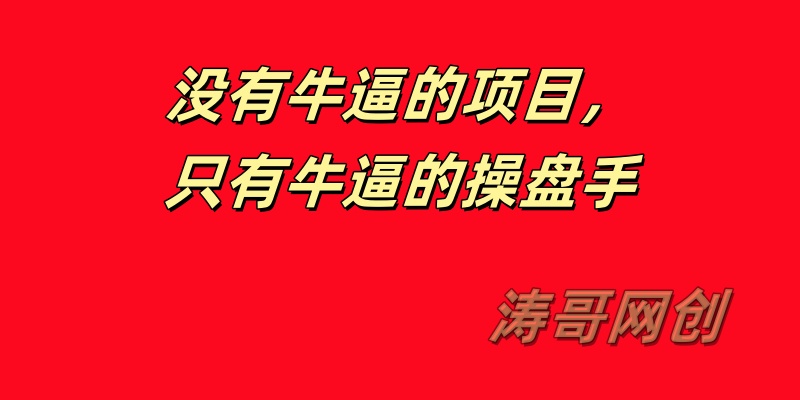 图片[5]-涛哥：日收入1000＋的玩法还叫副业吗？-涛哥