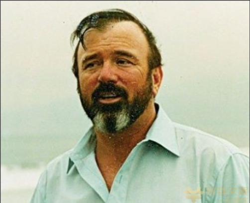 图片[6]-涛哥：日收入1000＋的玩法还叫副业吗？-涛哥